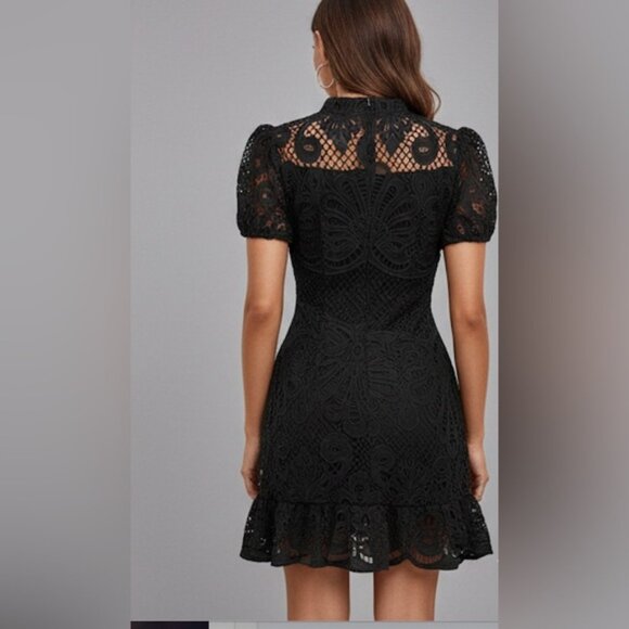 Lace Stand Collar Dress With Ruffle Hem Black - Picture 5 of 6